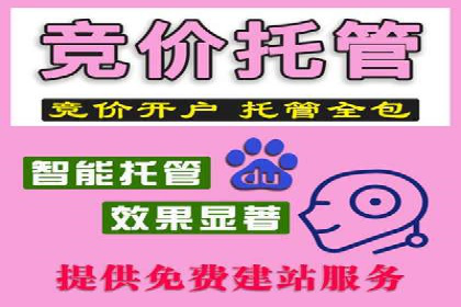 sem竞价广告的胜利之道：多行业成功案例剖析